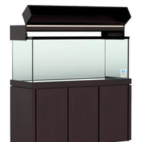 Elegance Maple Canopy
