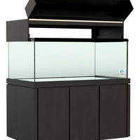 Elegance Maple Canopy