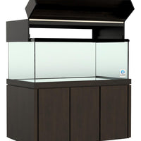 Elegance Maple Canopy