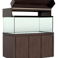 Elegance Maple Canopy