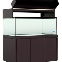Elegance Maple Canopy