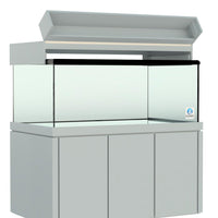 Elegance Maple Canopy