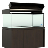 Elegance Maple Canopy