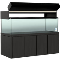 Elegance Maple Canopy
