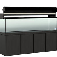 Elegance Maple Canopy