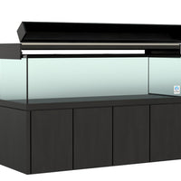 Elegance Maple Canopy