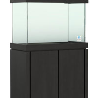 Elegance Maple Stand