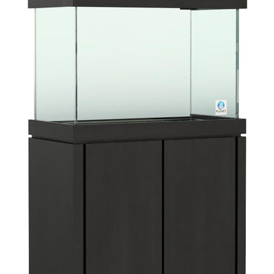 Elegance Maple Stand