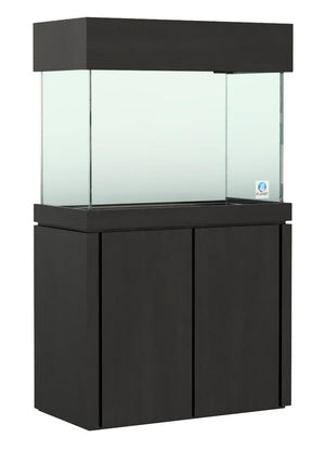 Elegance Maple Stand