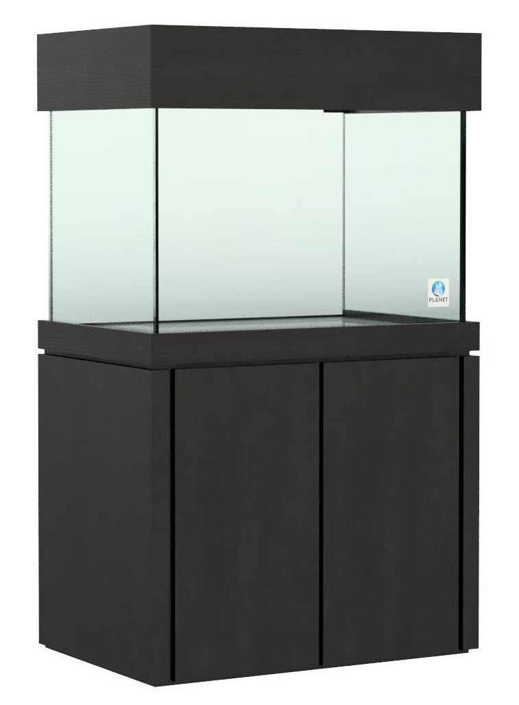 Elegance Maple Stand