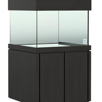 Elegance Maple Stand