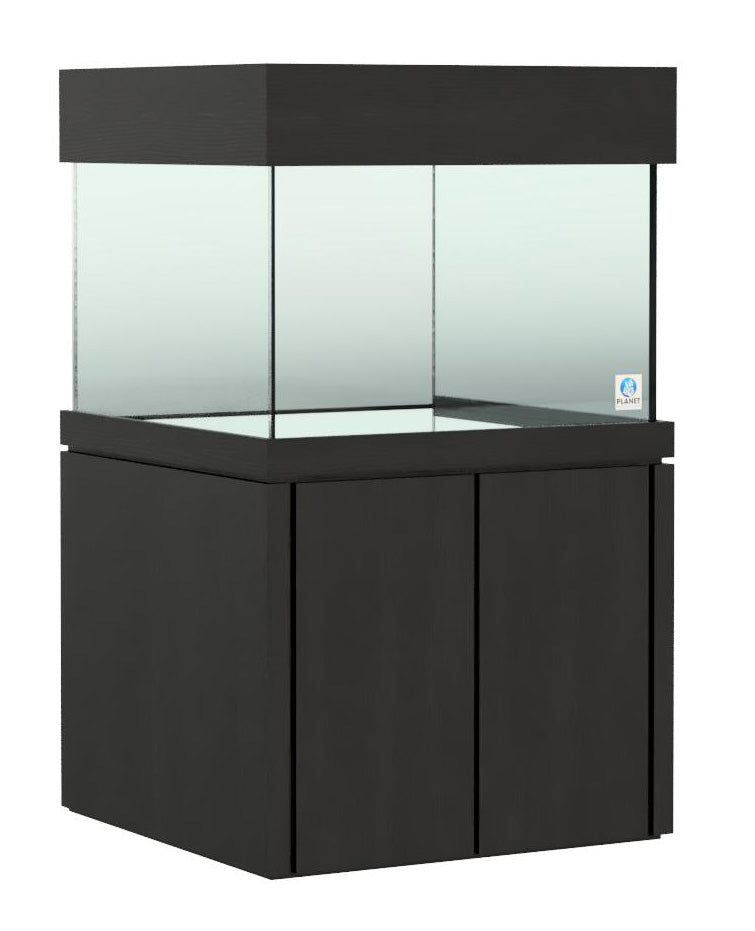 Elegance Maple Stand