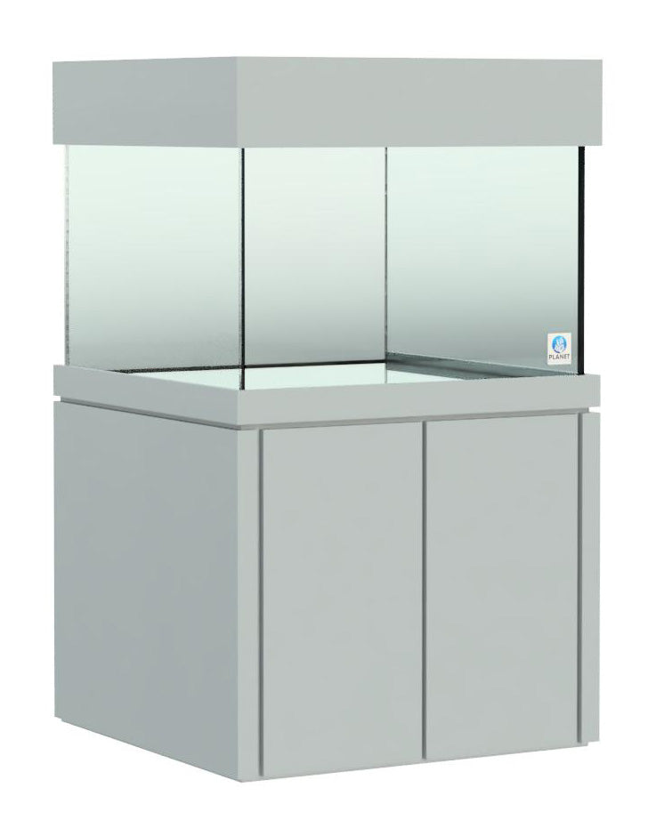 Elegance Maple Stand