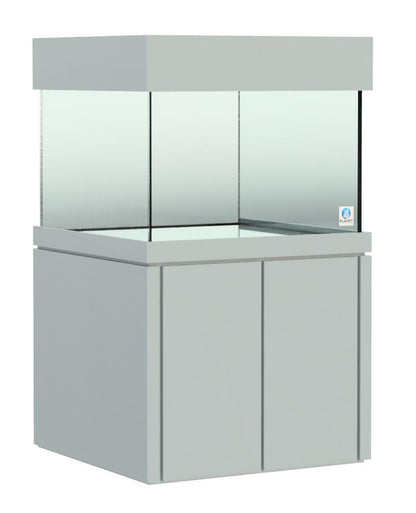 Elegance Maple Stand