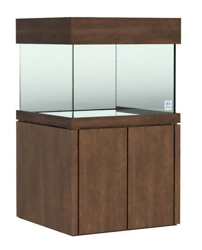 Elegance Maple Stand