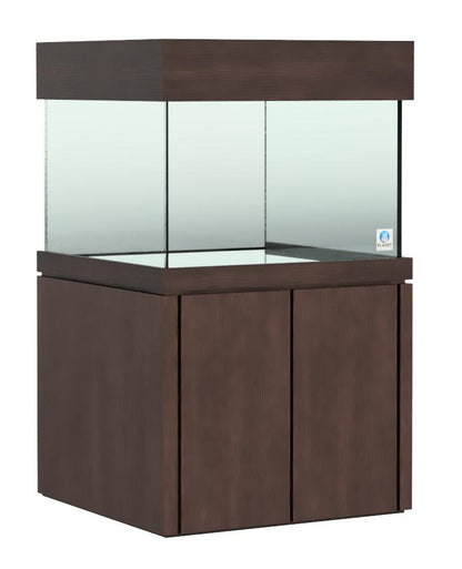 Elegance Maple Stand