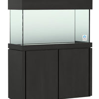 Elegance Maple Stand