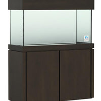 Elegance Maple Stand