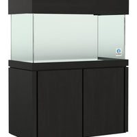 Elegance Maple Stand