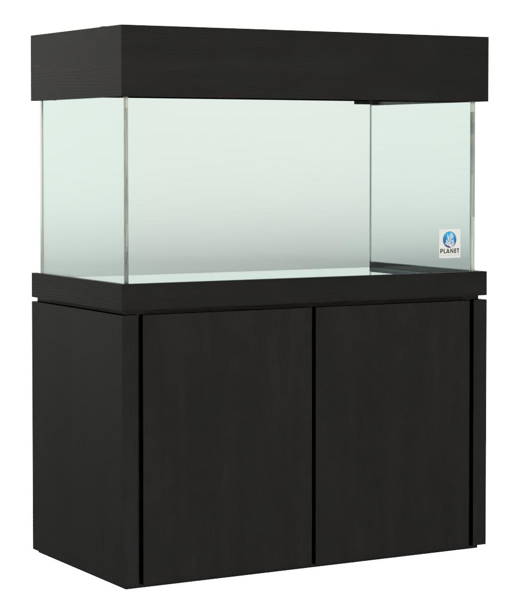 Elegance Maple Stand
