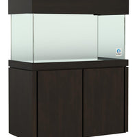 Elegance Maple Stand