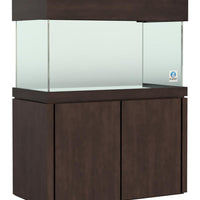 Elegance Maple Stand