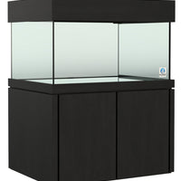 Elegance Maple Stand