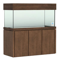 Elegance Maple Stand
