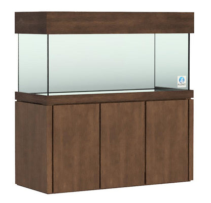 Elegance Maple Stand