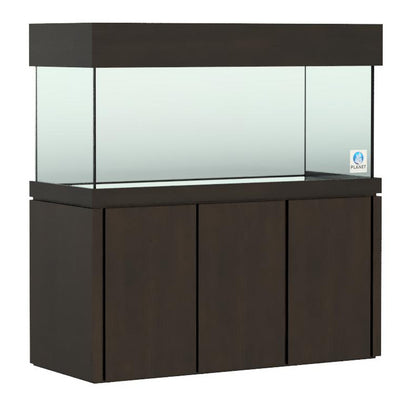 Elegance Maple Stand