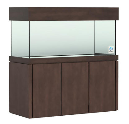Elegance Maple Stand