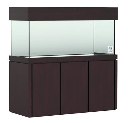 Elegance Maple Stand