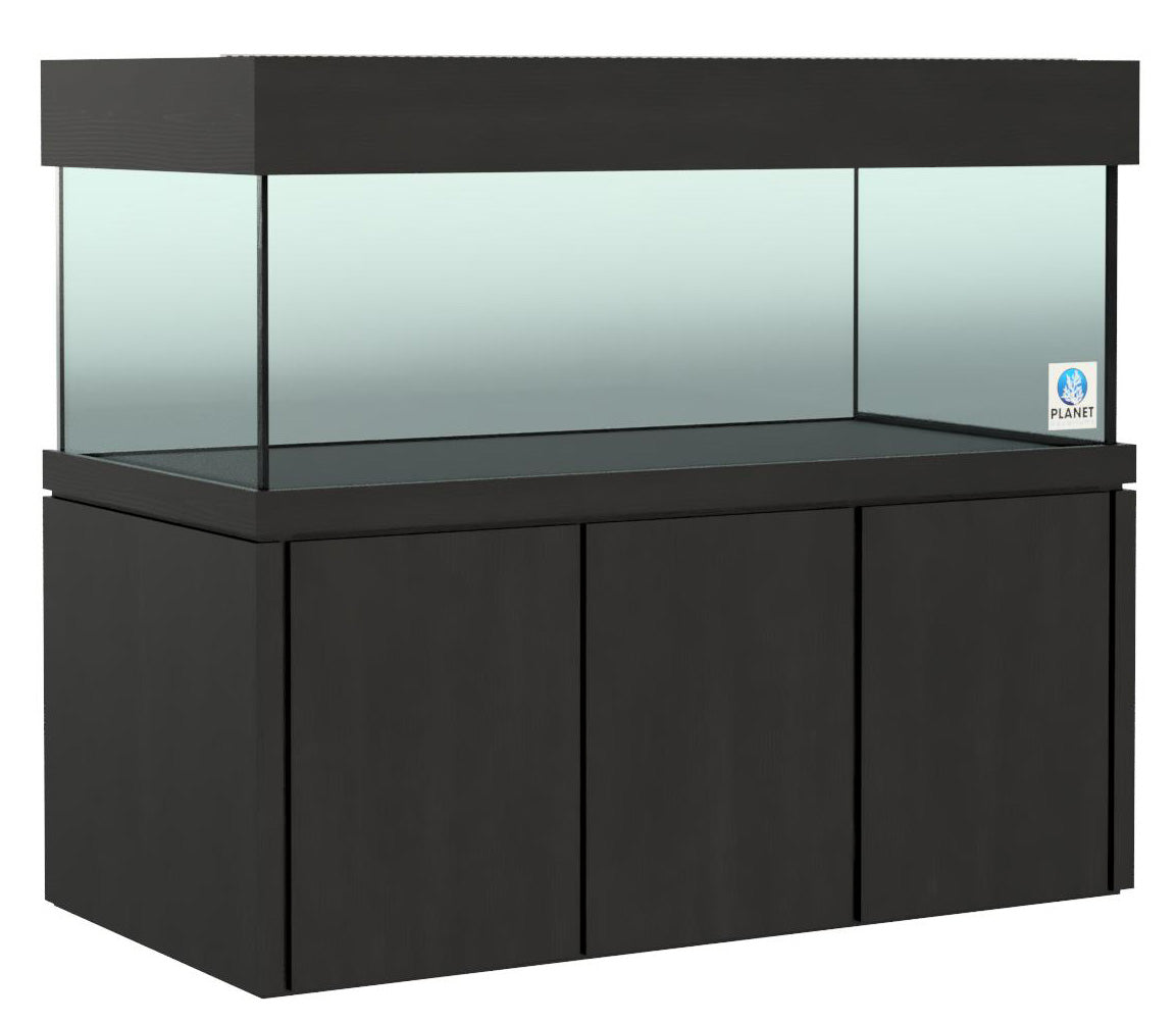 Elegance Maple Stand