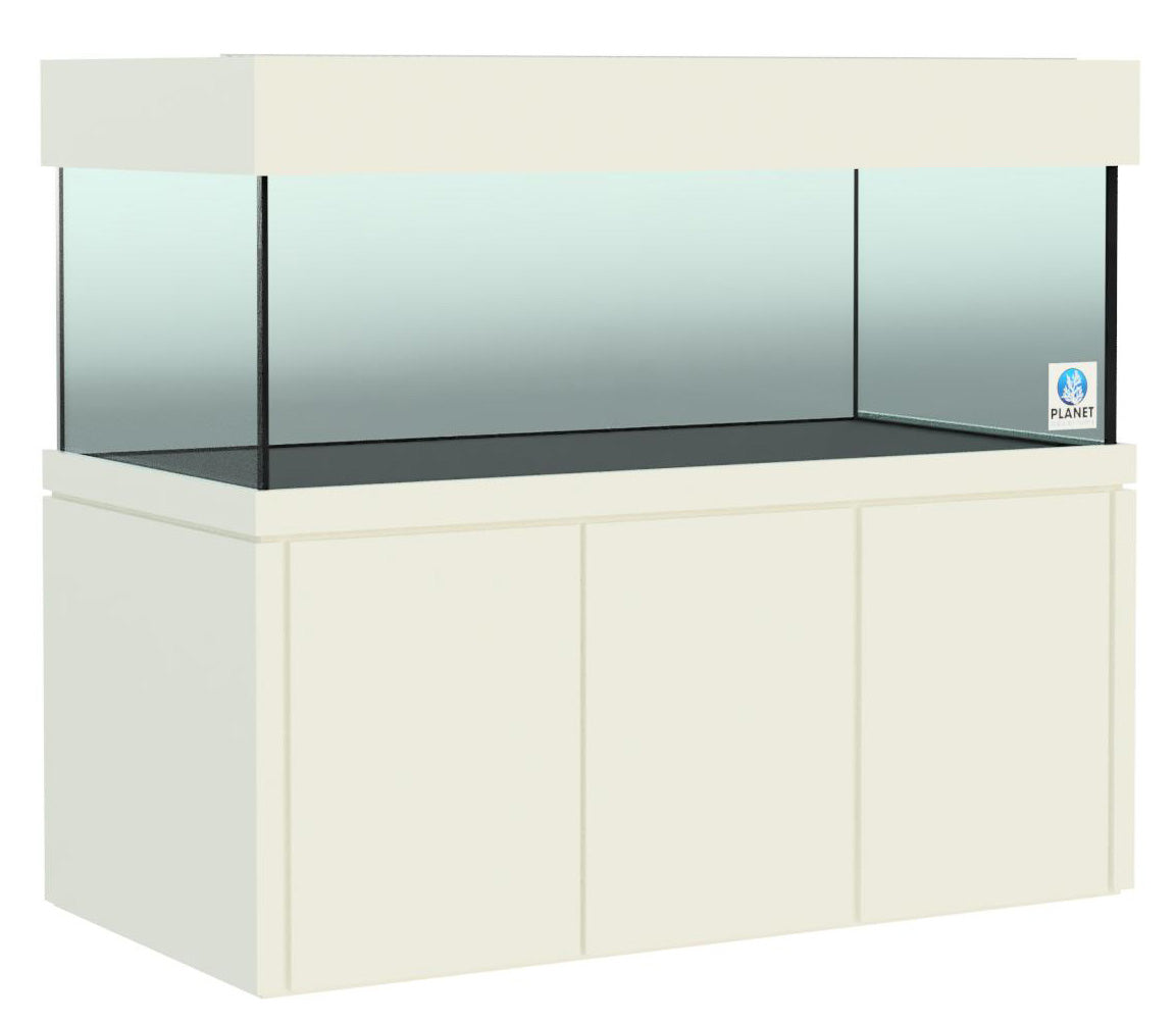 Elegance Maple Stand