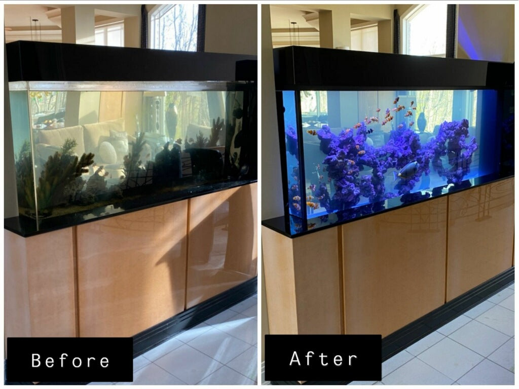 Aquarium transformation service image