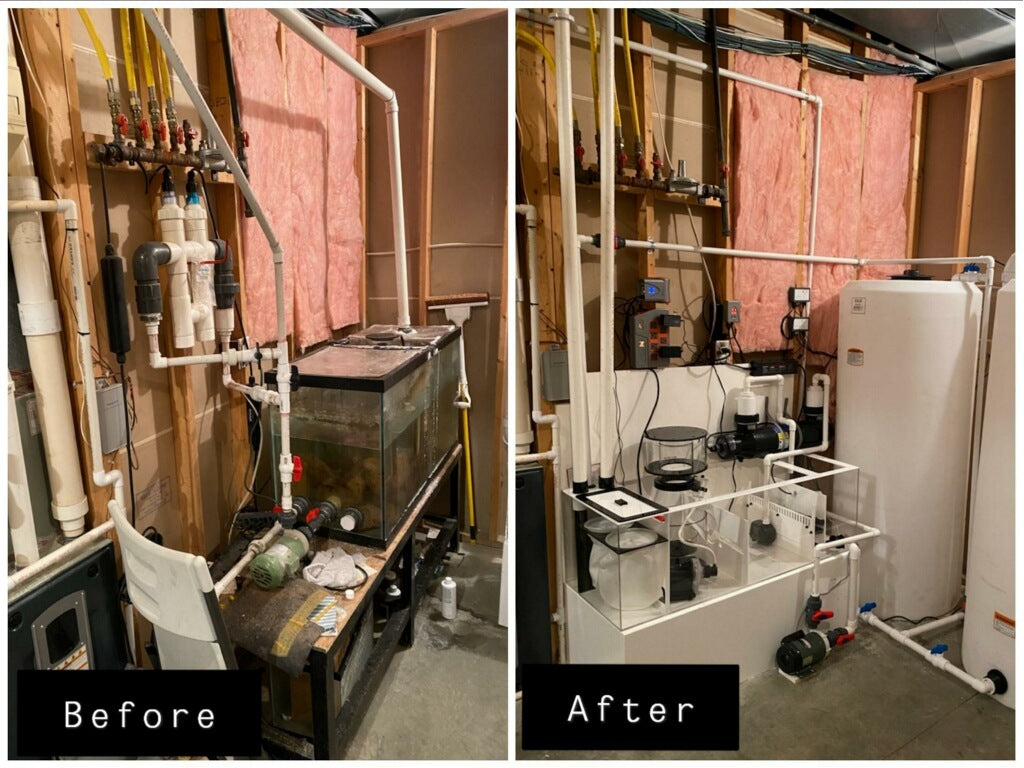 Aquarium transformation service image