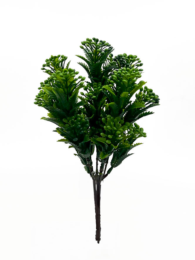 Naturescapes Adhya Bonsai