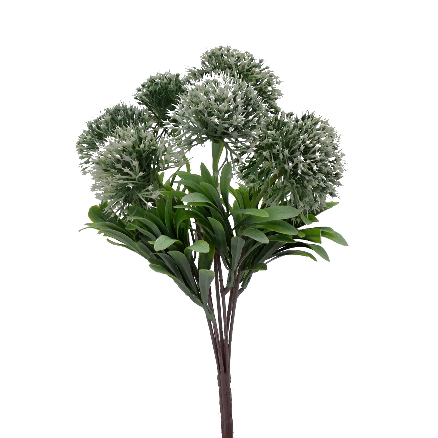 Naturescapes Bluebell Allium