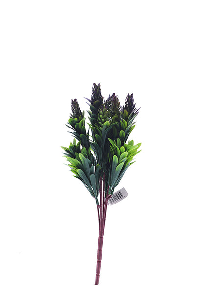 Naturescapes Bluebell Cones