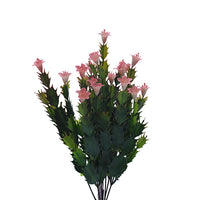 Naturescapes Desert Flower