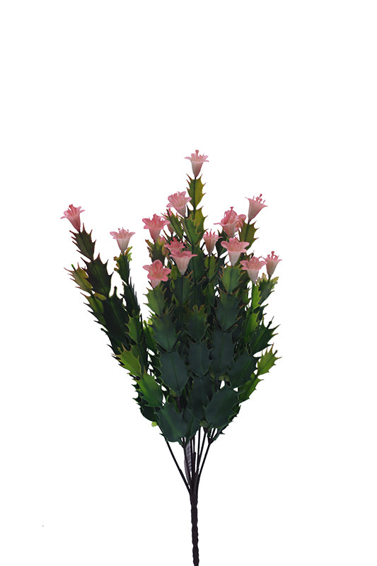 Naturescapes Desert Flower