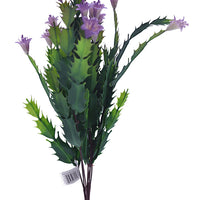 Naturescapes Desert Flower