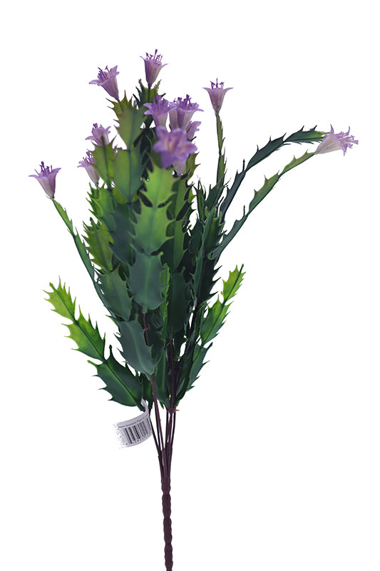 Naturescapes Desert Flower
