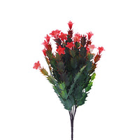 Naturescapes Desert Flower