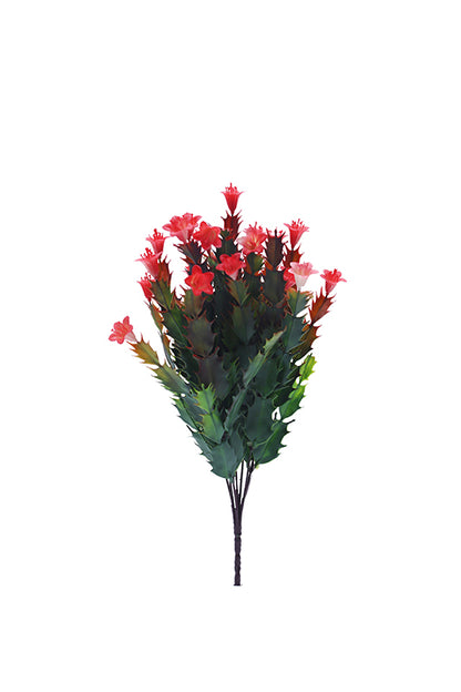 Naturescapes Desert Flower