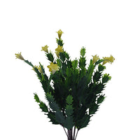 Naturescapes Desert Flower