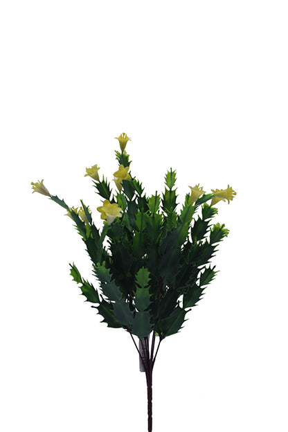 Naturescapes Desert Flower