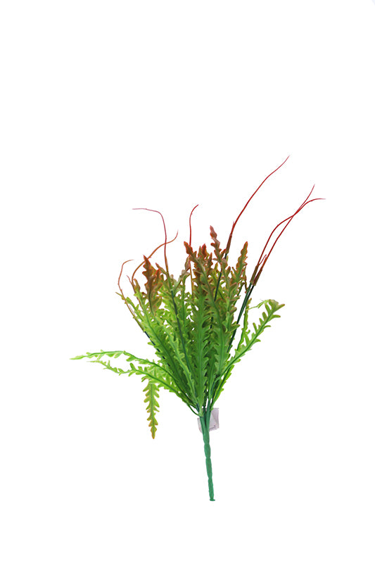 Naturescapes Kelp Blade