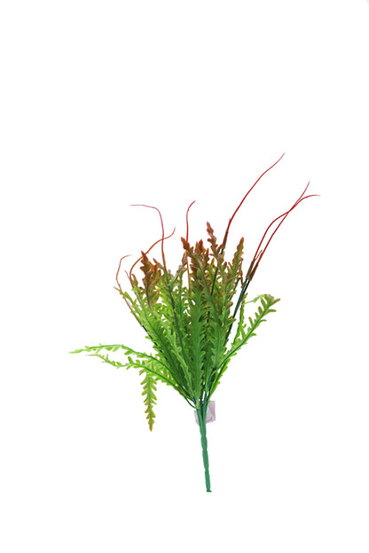 Naturescapes Kelp Blade