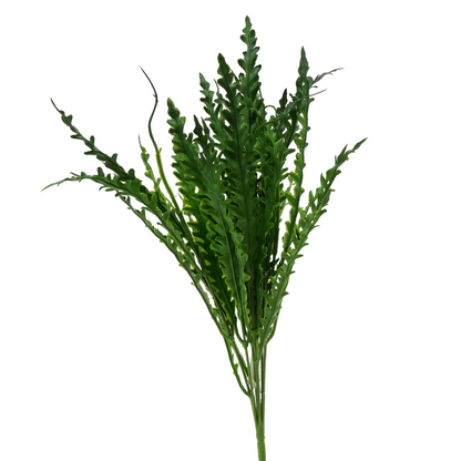 Naturescapes Kelp Blade